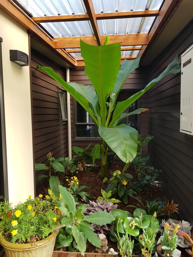 Heta Road B&B New Plymouth Exterior photo
